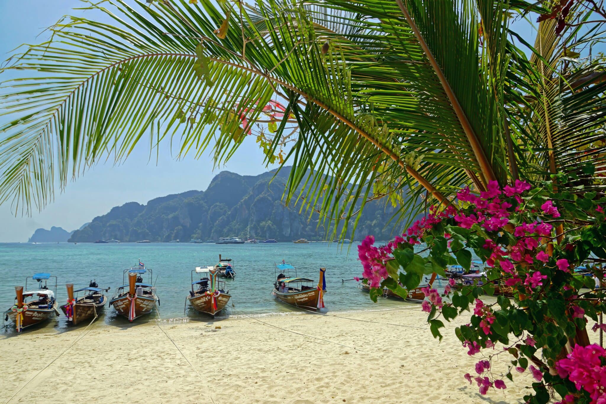 Martti Salmi Pmilnaejvr0 Unsplash