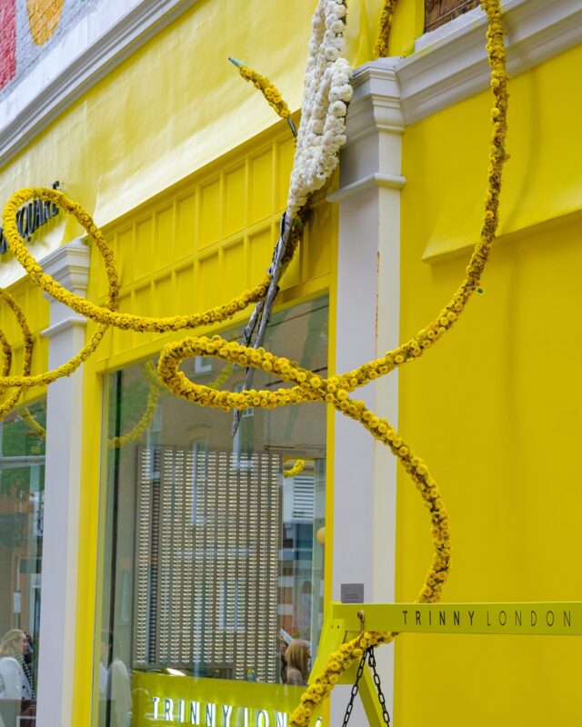 We’re delighted to have won this year’s Chelsea in Bloom People’s Choice Award with Trinny London for a second year running! Our display featured a giant floral sewing kit, with oversized scissors crafted from white chrysanthemums and preserved leaves. Vibrant yellow thread tumbled around the shop, made from reindeer moss and spray chrysanthemums, while a floral bobbin, crafted from yellow and white chrysanthemums, completed the stunning design. Huge thanks to everyone who voted. @trinnylondon @trinnywoodall @kingsroad.london Photography: @johnnassari
